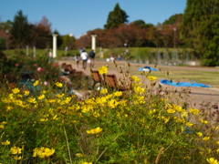 日曜日の植物園