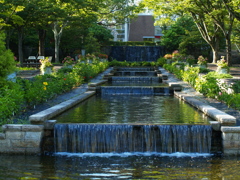 去りゆく夏の公園