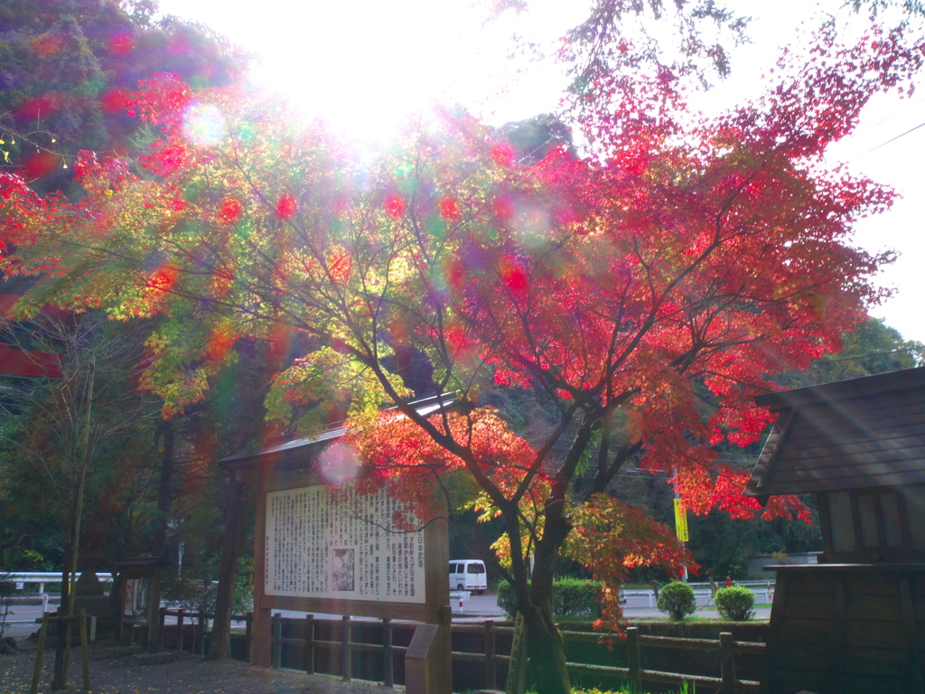 ゴーストも紅葉する