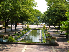 夏の植物園