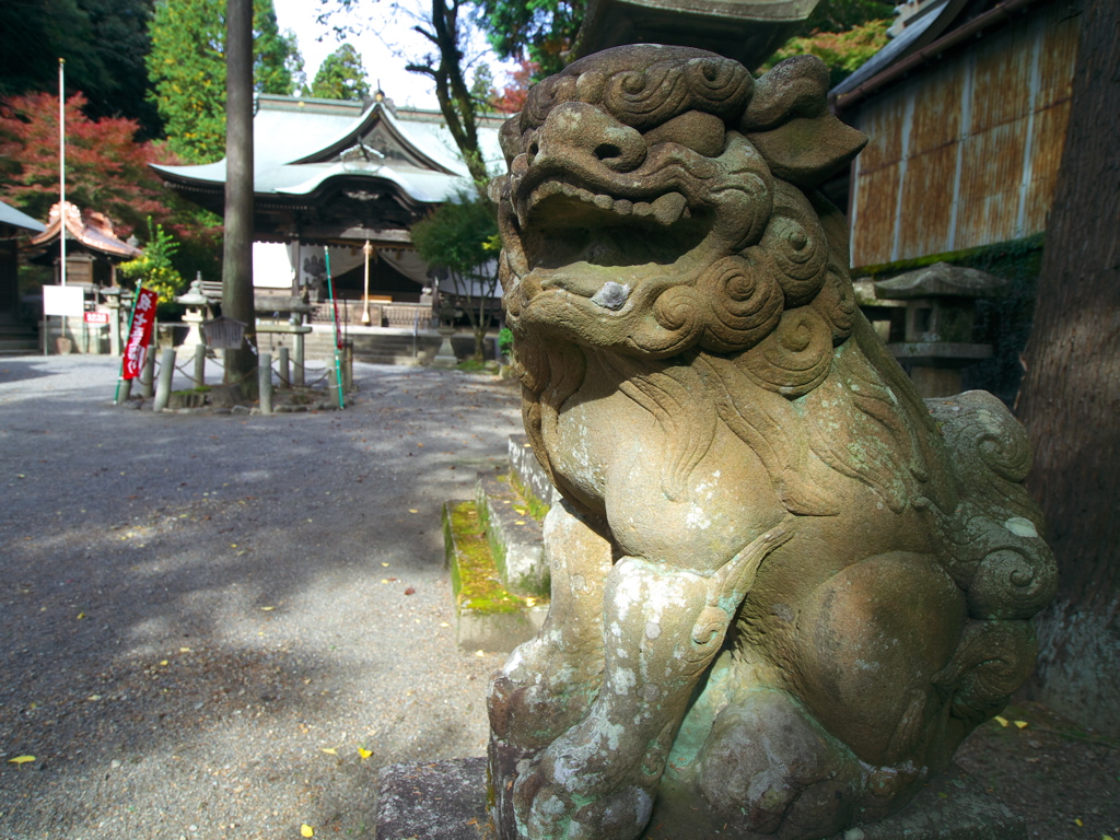 内々神社　獅子