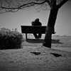 春の日差しの中で