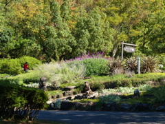 ハーブ園