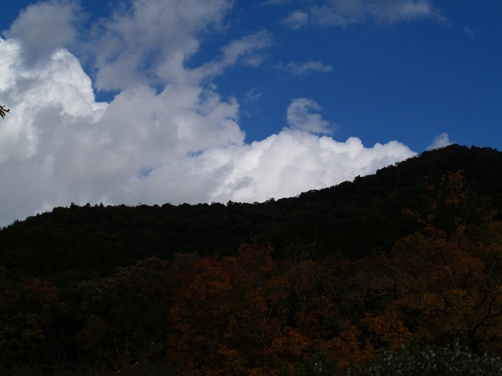 晩秋の空と山