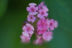  F1.2のボケ