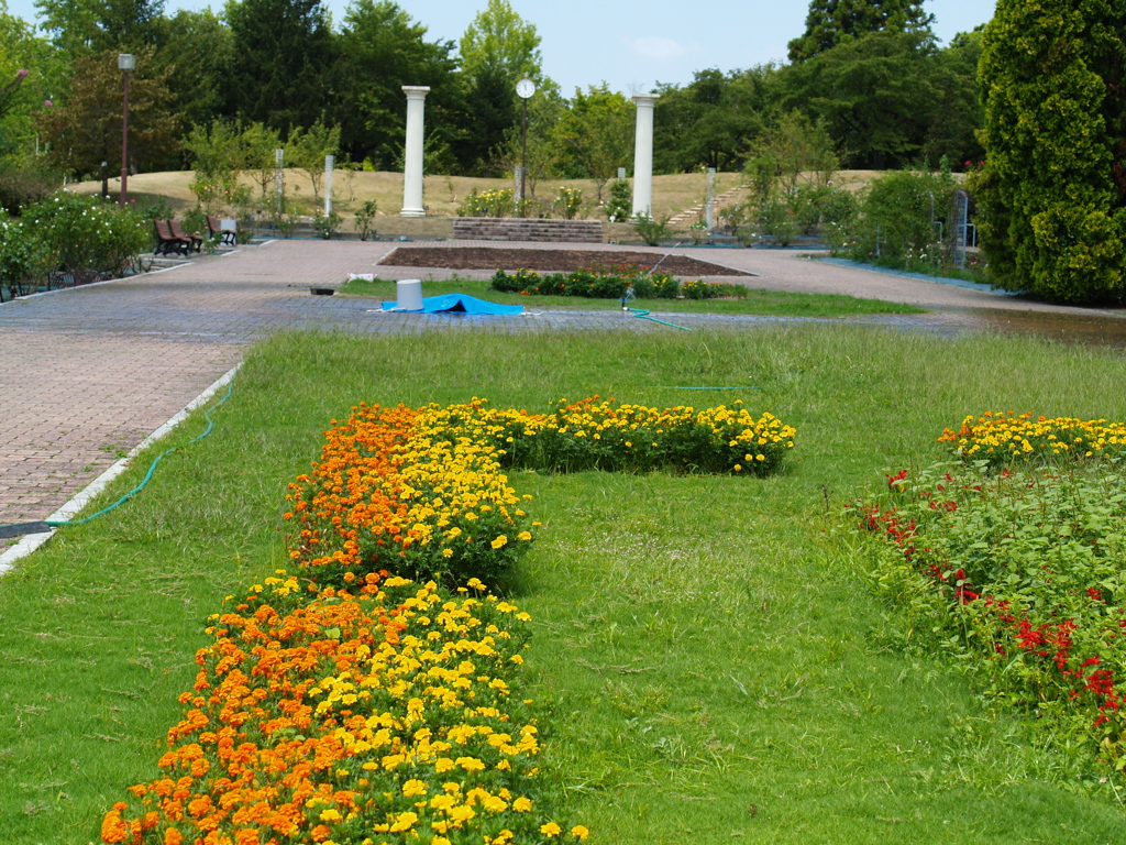 夏の植物園