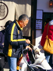 五平餅食べる犬
