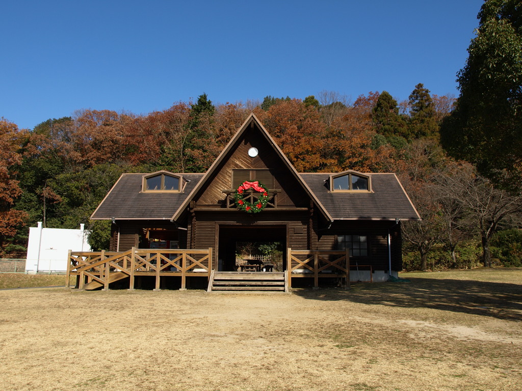 クリスマス飾り