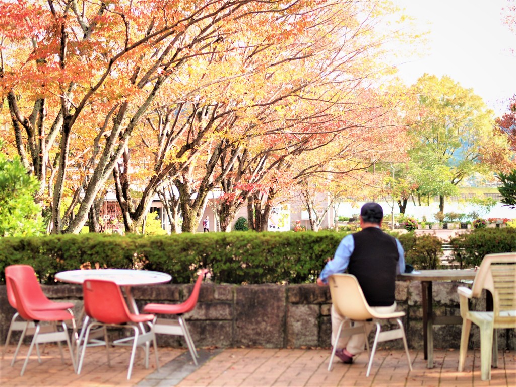紅葉見入る秋