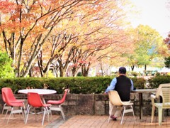紅葉見入る秋