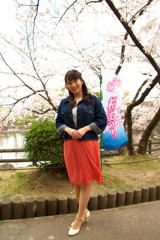 桜まつりで華やぐ街