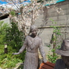 南吉先生と女生徒と桜