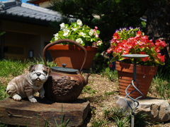 庭先にて