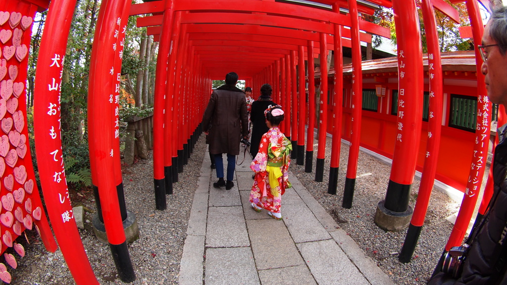 鳥居のアーチの中を行く
