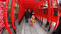 鳥居のアーチの中を行く