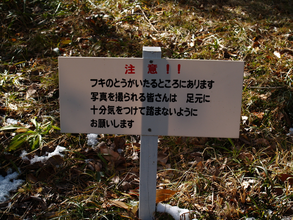 春の足音