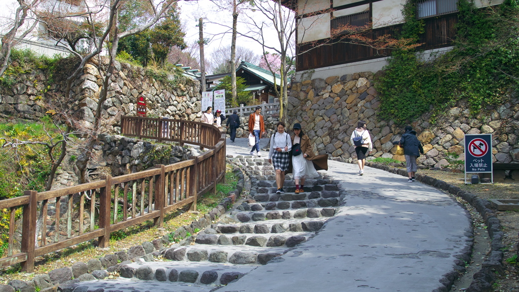 犬山城へと続く道