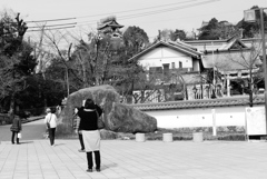 犬山城下町　城を撮る人