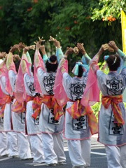 演舞