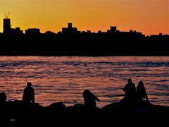 From Brooklyn.....with Love