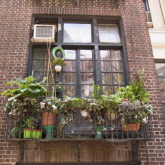 Decorated