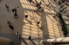 shadows