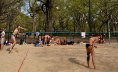 Celebration - Coming of Summer