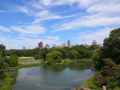 Central Park on a Sunday Afternoon