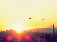 Sky Tree & Fuji
