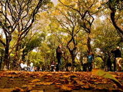 Fall 2011....