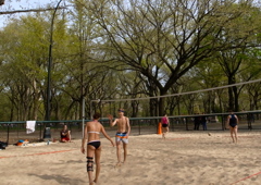 Celebration - Coming of Summer
