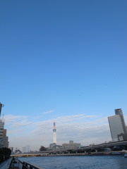 どうどうとしてるね