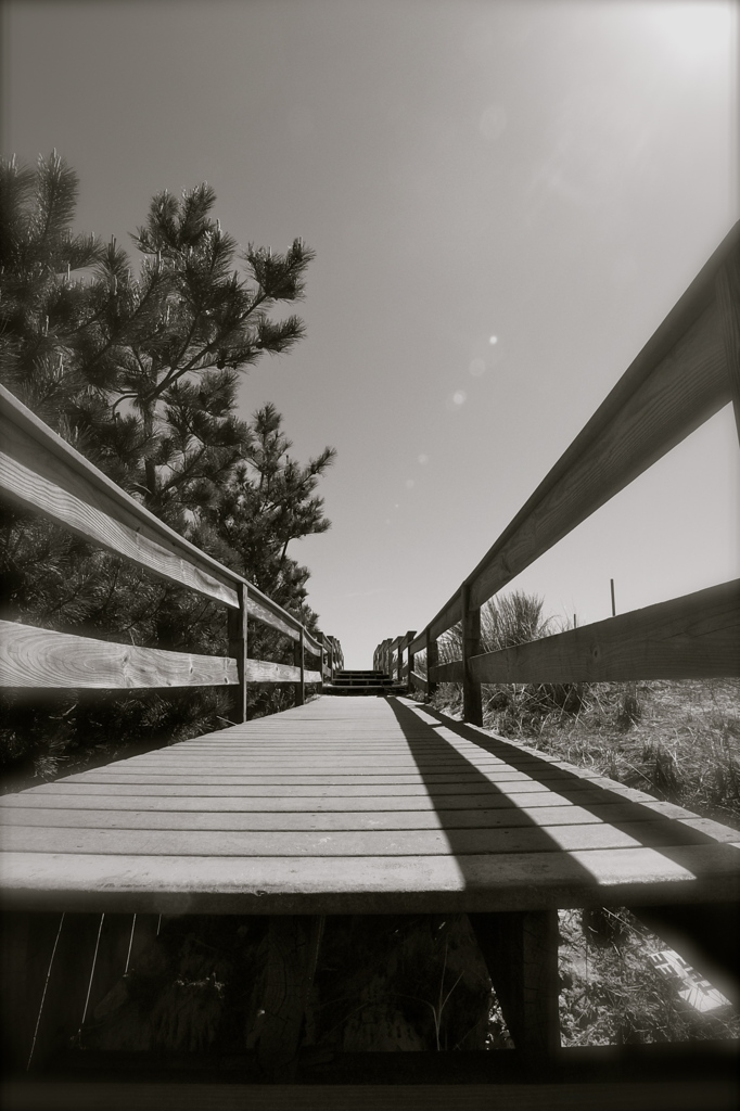Over the Dunes.....