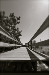 Over the Dunes.....