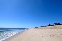 Jersey Shore.....