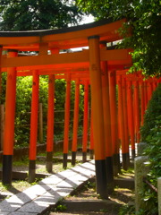 通り抜け