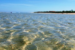water