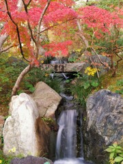 小さな滝と紅葉
