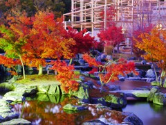 紅葉のライトアップ