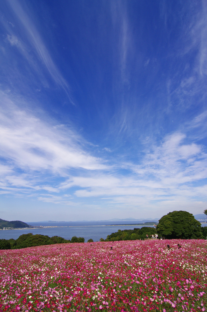 秋の能古島の風景