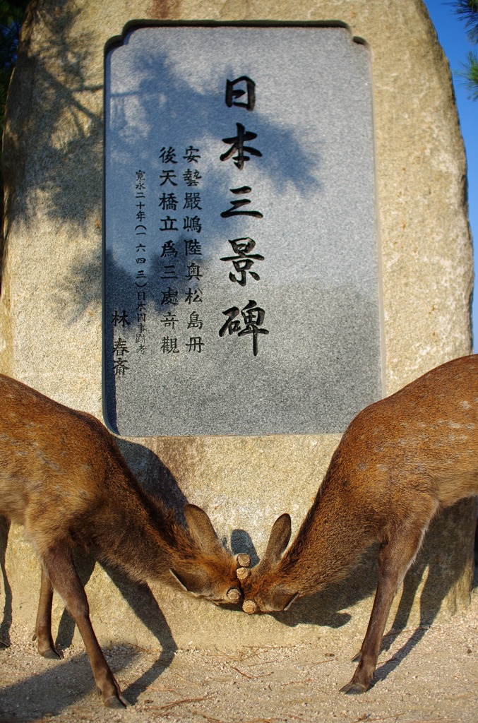 宮島の決戦