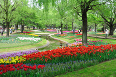 昭和記念公園