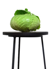 キャベツ