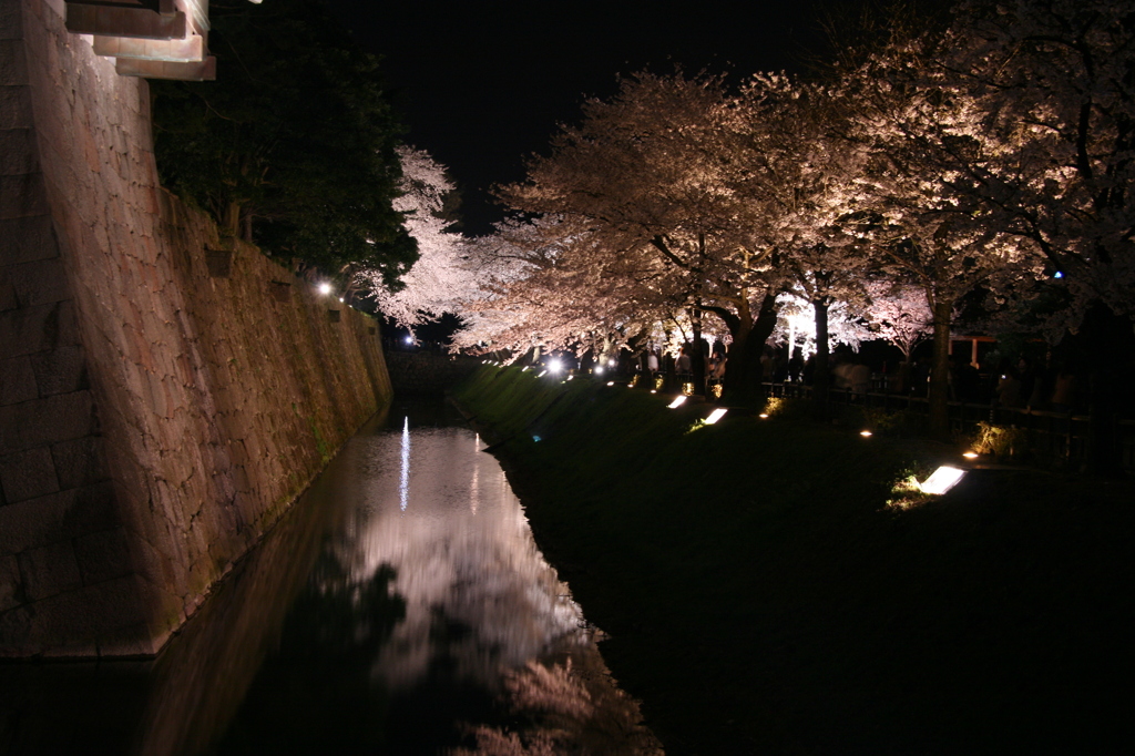 桜道