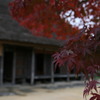江戸村１