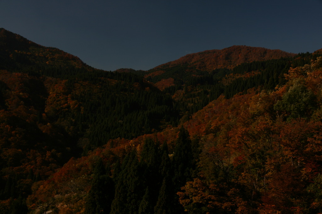 紅葉３