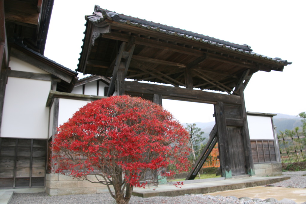 江戸村