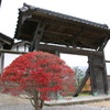 江戸村