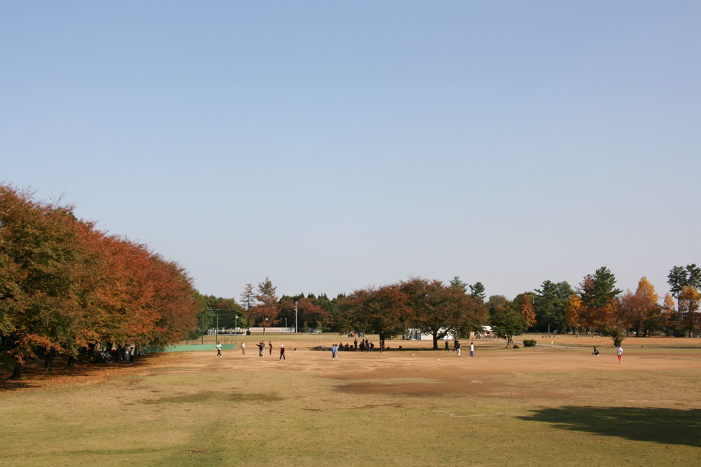 野球少年