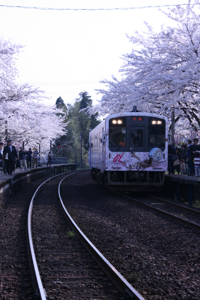 ワンマン電車